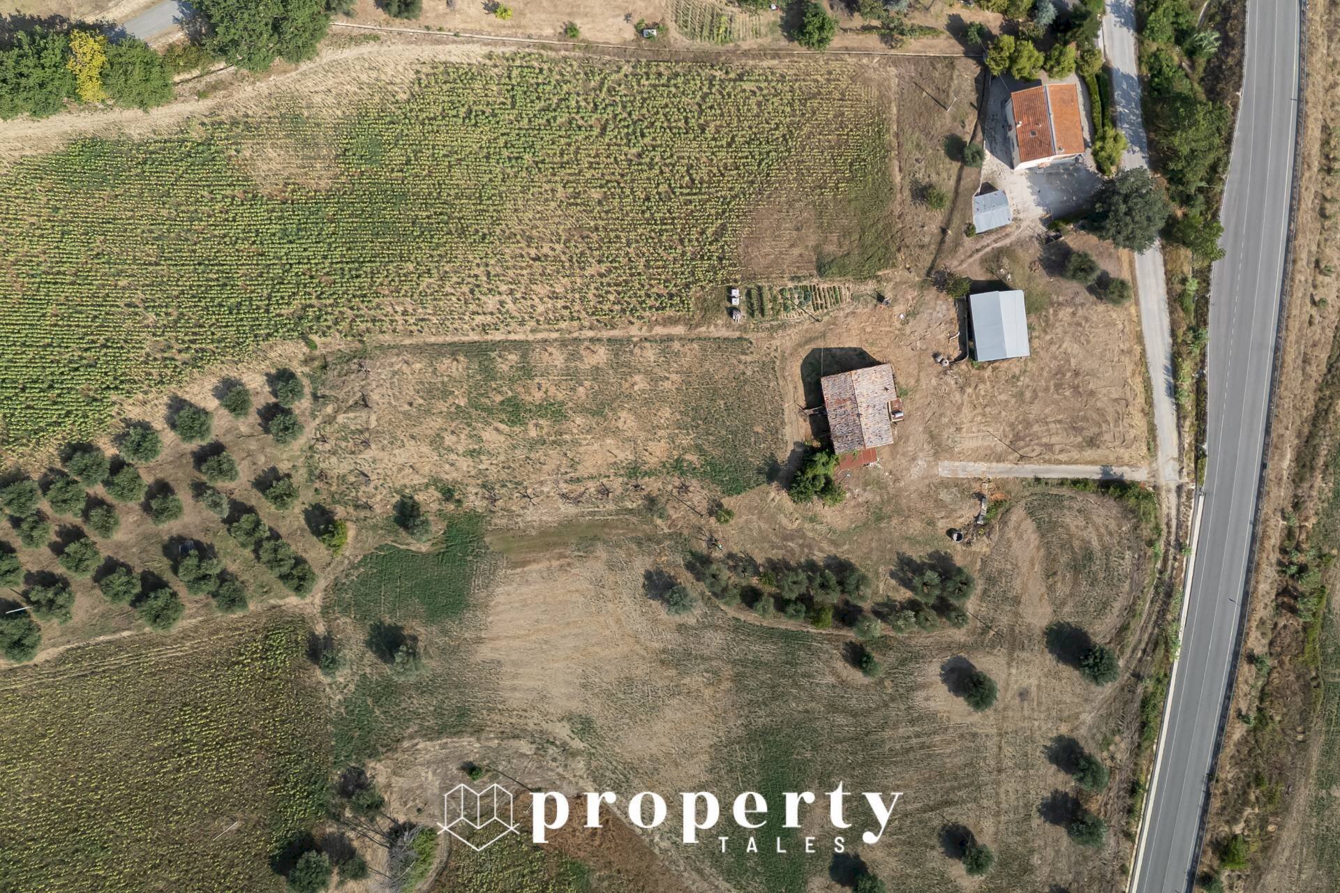 Foto 2 - Rustic Offida - photo 2