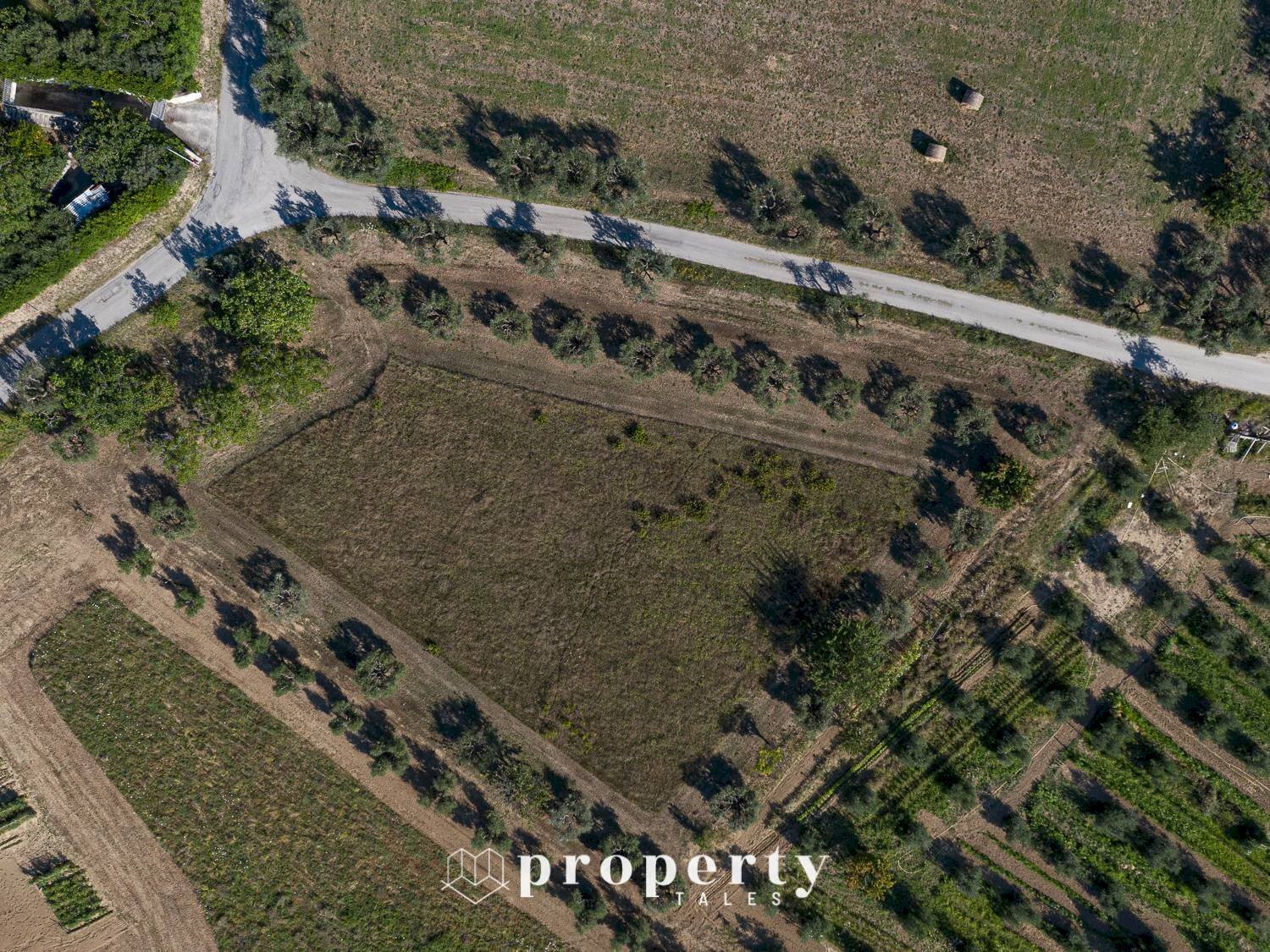 Foto 3 - Agricultural land Monteprandone - photo 3