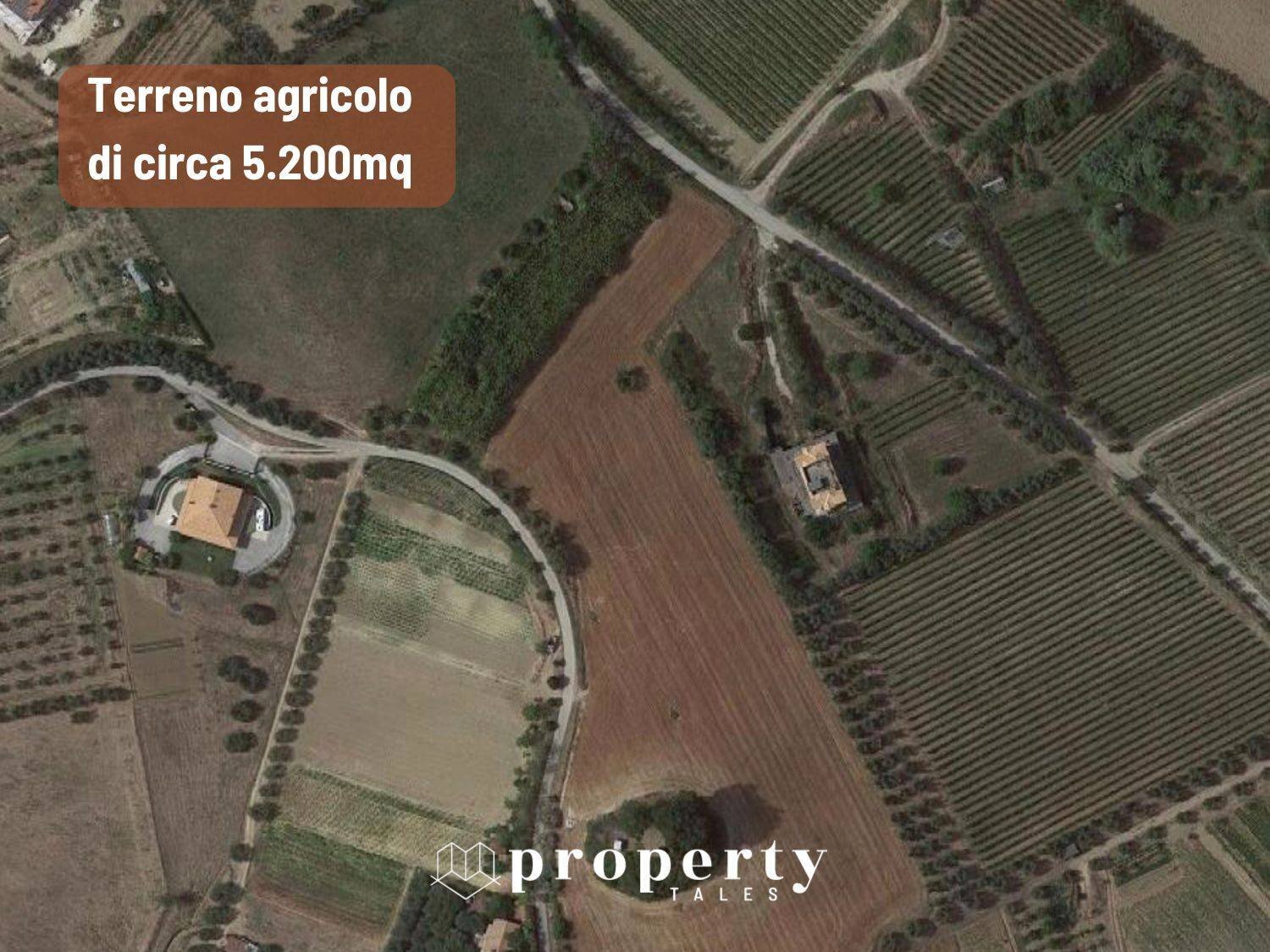 Foto 1 - Agricultural land Monteprandone - photo 1