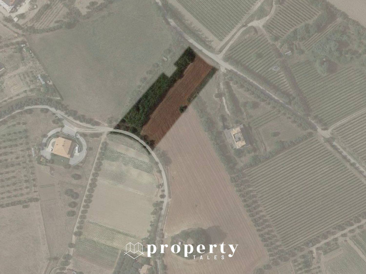 Foto 2 - Agricultural land Monteprandone - photo 2