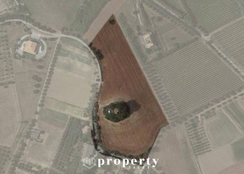 Foto 2 - Rustico Monteprandone - foto 2