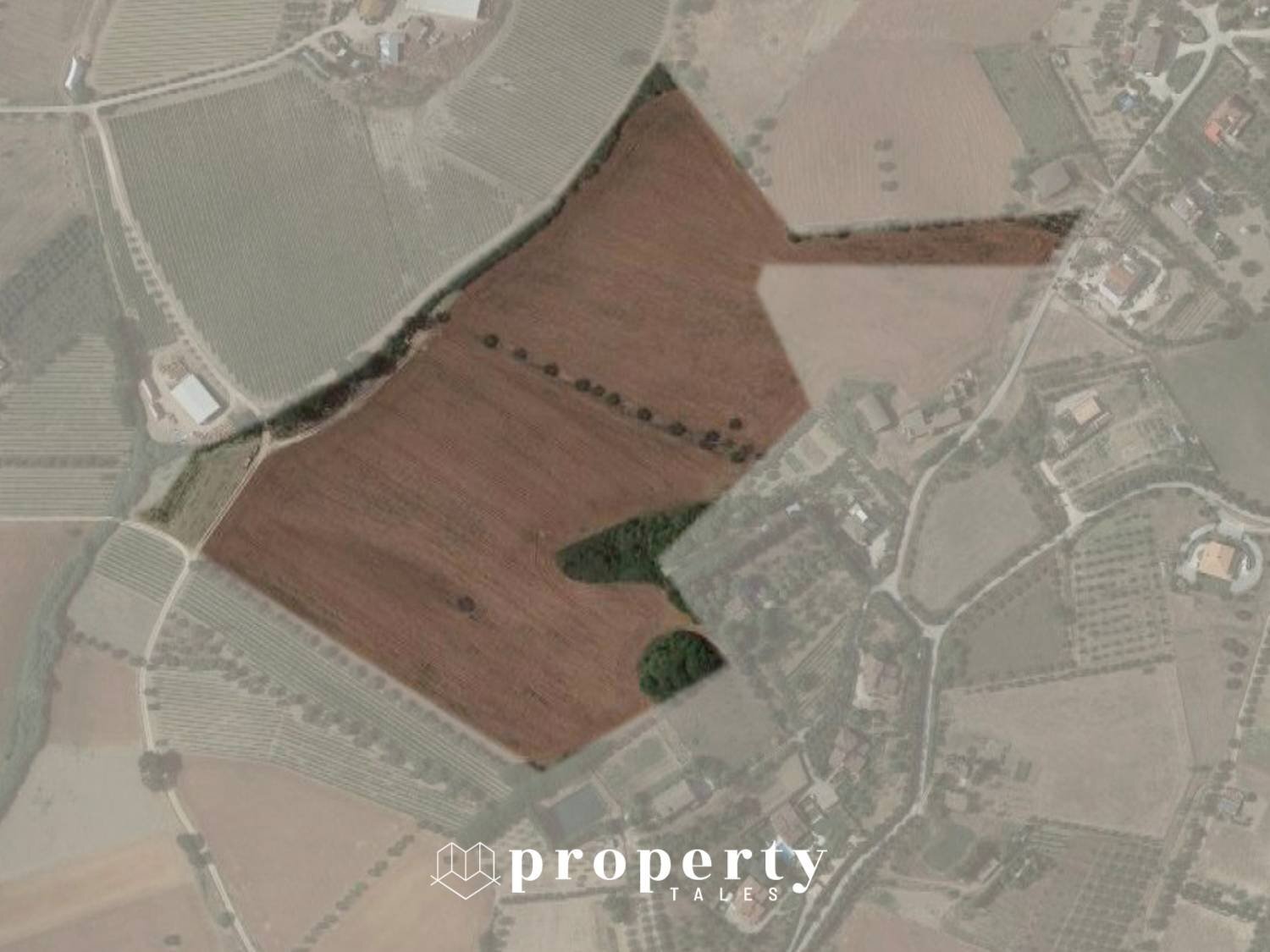 Foto 2 - Agricultural land Monteprandone - photo 2