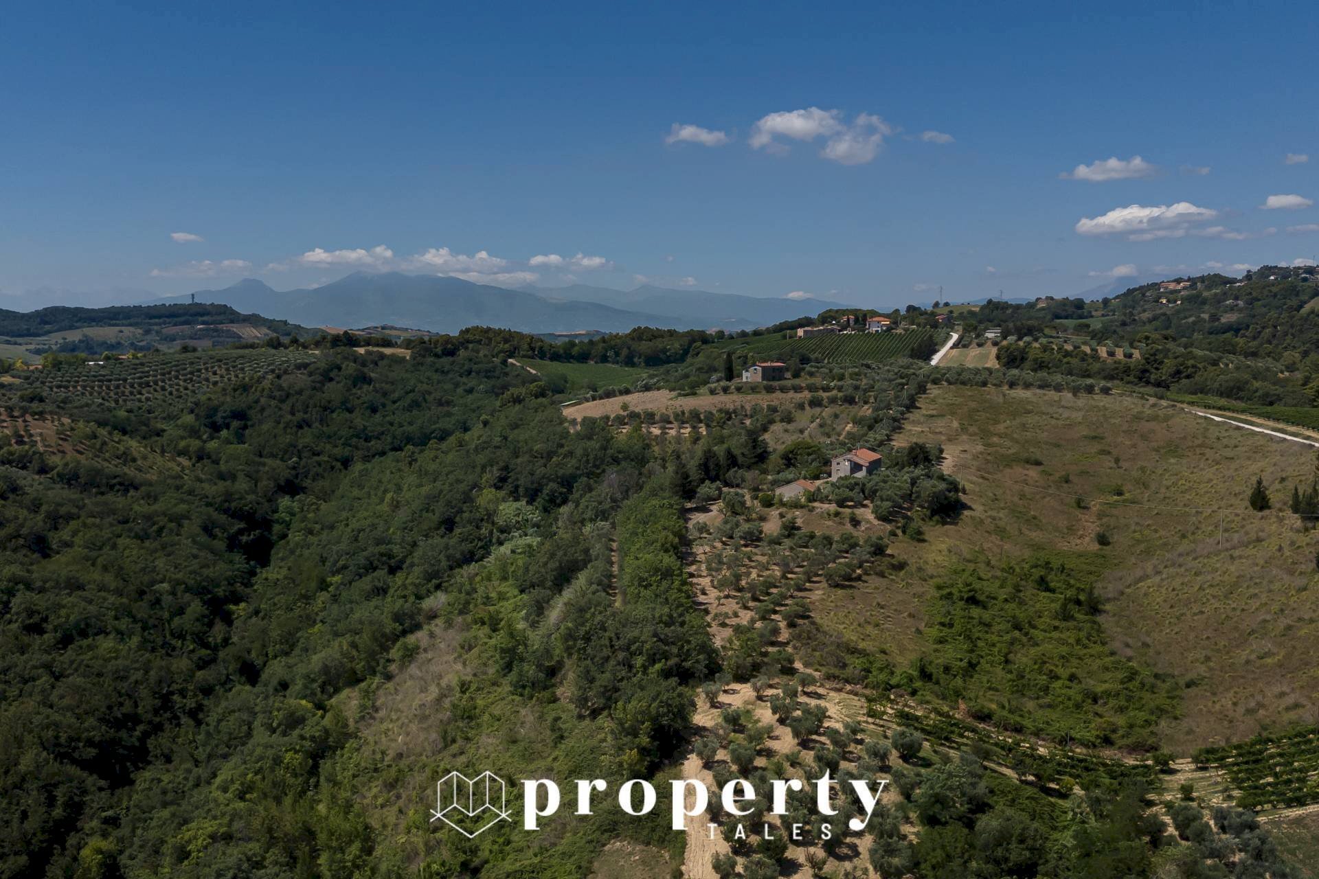 Foto 4 - Rustico Contrada Quercia ferrrata, Ripatransone - foto 3