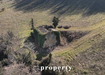 Foto 9 - Rustico Contrada serrone, San Ginesio - foto 9