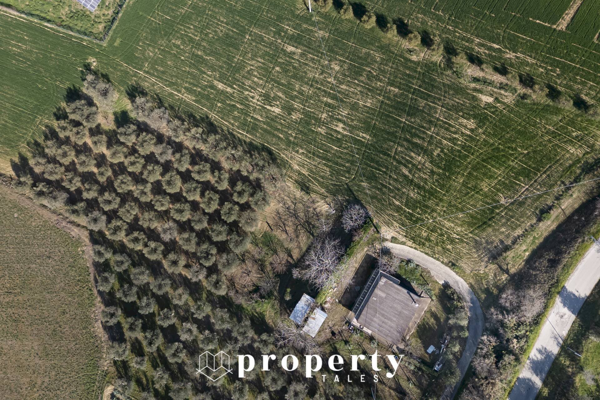 Foto 3 - Rustico contrada sant'egidio, Monsampolo del Tronto - foto 3