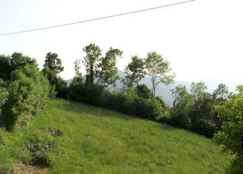 Foto 11 - Rustico Loc. Casa Barattina sn - Miargolo San Marco, Zogno - foto 11