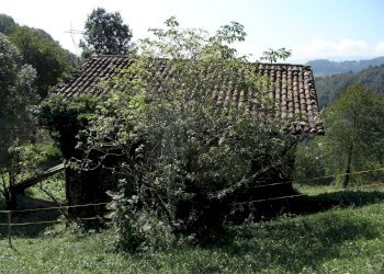 Foto 2 - Rustico Gerosa Loc. Feniletti/Casello di Bura, Val Brembilla - foto 2