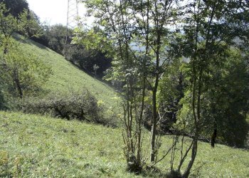 Foto 10 - Rustico Gerosa Loc. Feniletti/Casello di Bura, Val Brembilla - foto 10