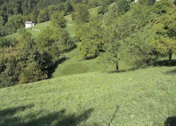 Foto 13 - Rustico Gerosa Loc. Feniletti/Casello di Bura, Val Brembilla - foto 13