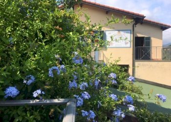 Foto 16 - Villa Bordighera - foto 16