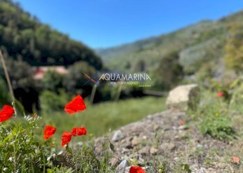 Foto 24 - Villa Dolceacqua - photo 24