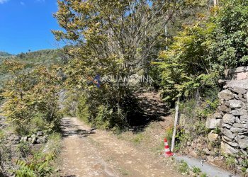 Foto 25 - Villa Dolceacqua - photo 25