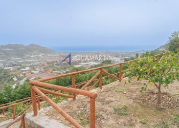 Foto 16 - Villa Taggia - foto 16