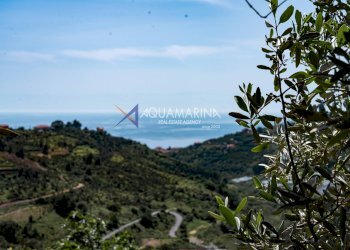 Foto 43 - Villa Terzorio - foto 43