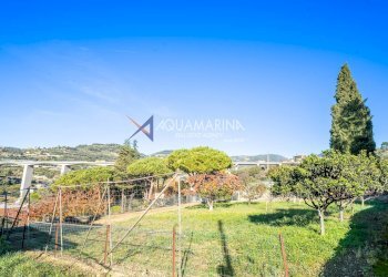 Foto 10 - Appartamento Bordighera - foto 10