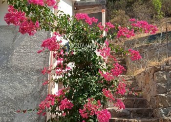 Foto 25 - Villa Apricale - photo 25