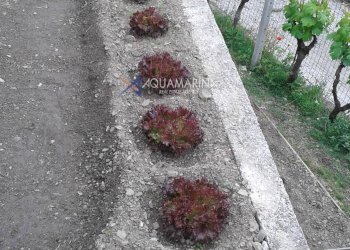 Foto 27 - Villa Apricale - photo 27