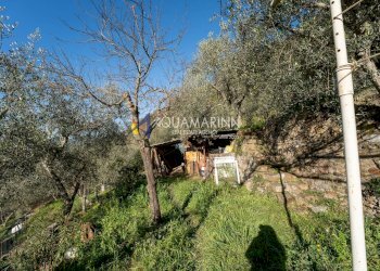 Foto 32 - Villa Apricale - photo 32