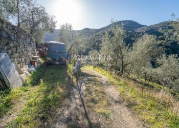 Foto 35 - Villa Apricale - photo 35