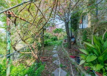 Foto 17 - Villa Vallebona - foto 17