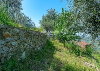 Foto 39 - Villa Vallebona - foto 39