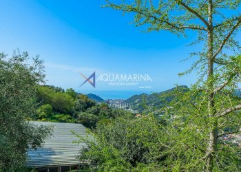 Foto 44 - Villa Vallebona - foto 44