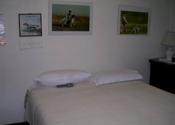 Foto 36 - Independent house Sassuolo - photo 36