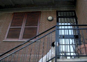 Foto 60 - Independent house Sassuolo - photo 60