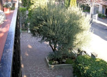 Foto 65 - Independent house Sassuolo - photo 65