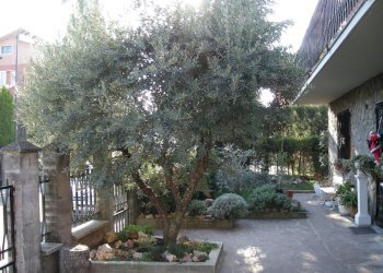 Foto 106 - Independent house Sassuolo - photo 106