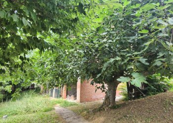 Foto 2 - Rustico Prignano sulla Secchia - foto 2