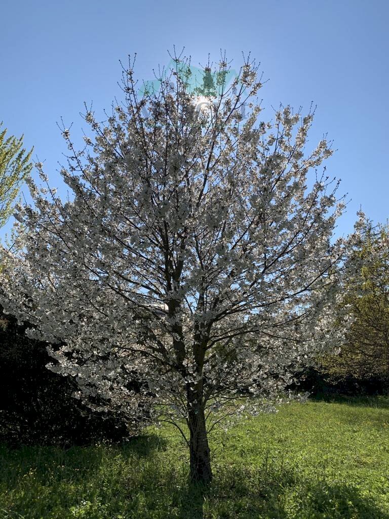 Foto 3 - Building land MONTE NERONE
 
10, Jesi - photo 3