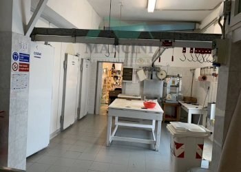 Foto 4 - Commercial Activity lavoro
90, Jesi - photo 4