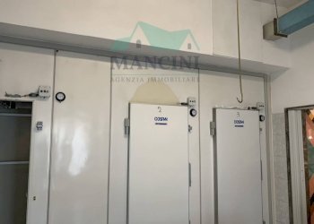 Foto 6 - Commercial Activity lavoro
90, Jesi - photo 6