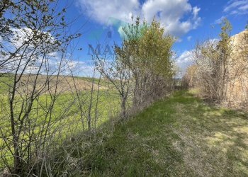 Foto 8 - Rustic CASTELLETTA
 
148, Cingoli - photo 8