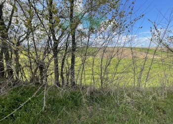 Foto 9 - Rustic CASTELLETTA
 
148, Cingoli - photo 9