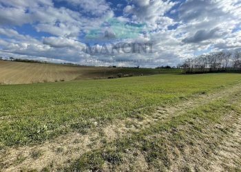 Foto 19 - Rustic CASTELLETTA
 
148, Cingoli - photo 19