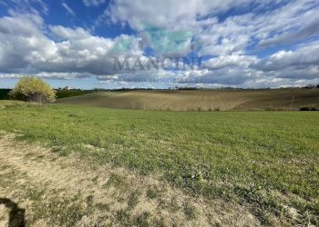 Foto 20 - Rustic CASTELLETTA
 
148, Cingoli - photo 20