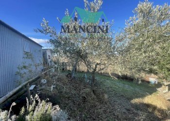 Foto 28 - Casa indipendente VIA MADONNA DEL SOLE
 
40, Castelbellino - foto 28