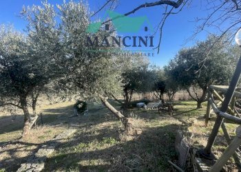 Foto 30 - Casa indipendente VIA MADONNA DEL SOLE
 
40, Castelbellino - foto 30