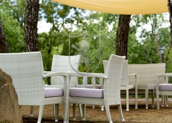 \nFoto 62\n - Rustico località sant' ansano
 
snc, Torrita di Siena - foto 62