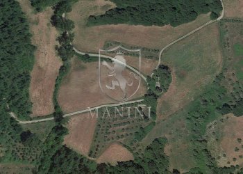 \nFoto 2\n - Rustico Podere Colombaio, San Casciano dei Bagni - foto 2