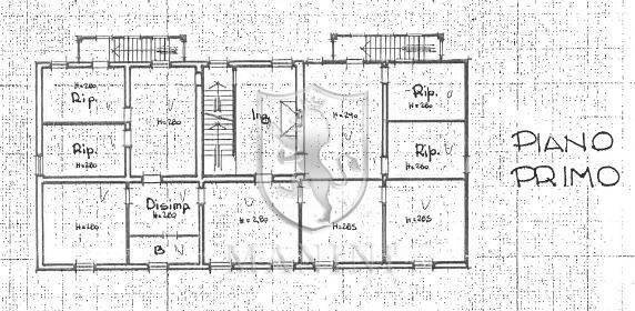 Foto 26 - Rustico Castiglione del Lago - planimetria 1