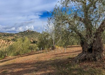 Foto 12 - Villa Capalbio - foto 12