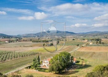 Foto 15 - Villa Capalbio - foto 15