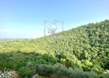 \nFoto 18\n - Villa a Schiera Piazza Vittorio Veneto, Sinalunga - foto 18