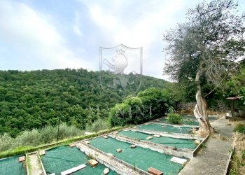 \nFoto 34\n - Villa a Schiera Piazza Vittorio Veneto, Sinalunga - foto 34