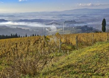 Foto 1 - Rustico Certaldo - foto 1