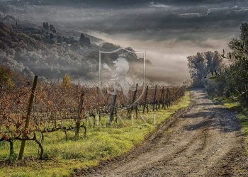 Foto 15 - Rustico Certaldo - foto 15