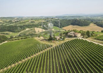 Foto 17 - Rustico Certaldo - foto 17